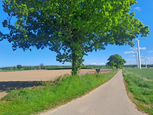 Aussicht 2 Havetoftloiter Straße nach Süden. 